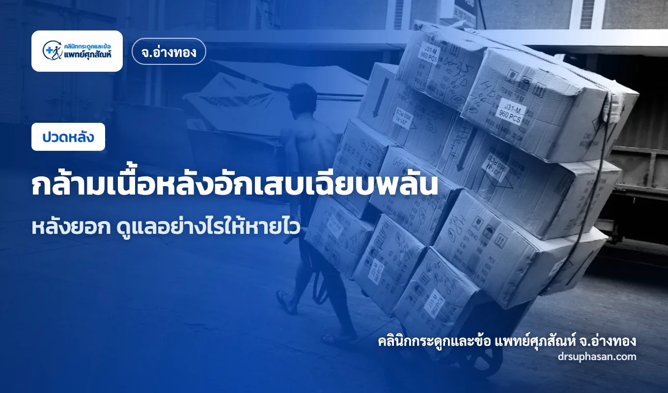 ภาพปกบทความ acute-back-strain