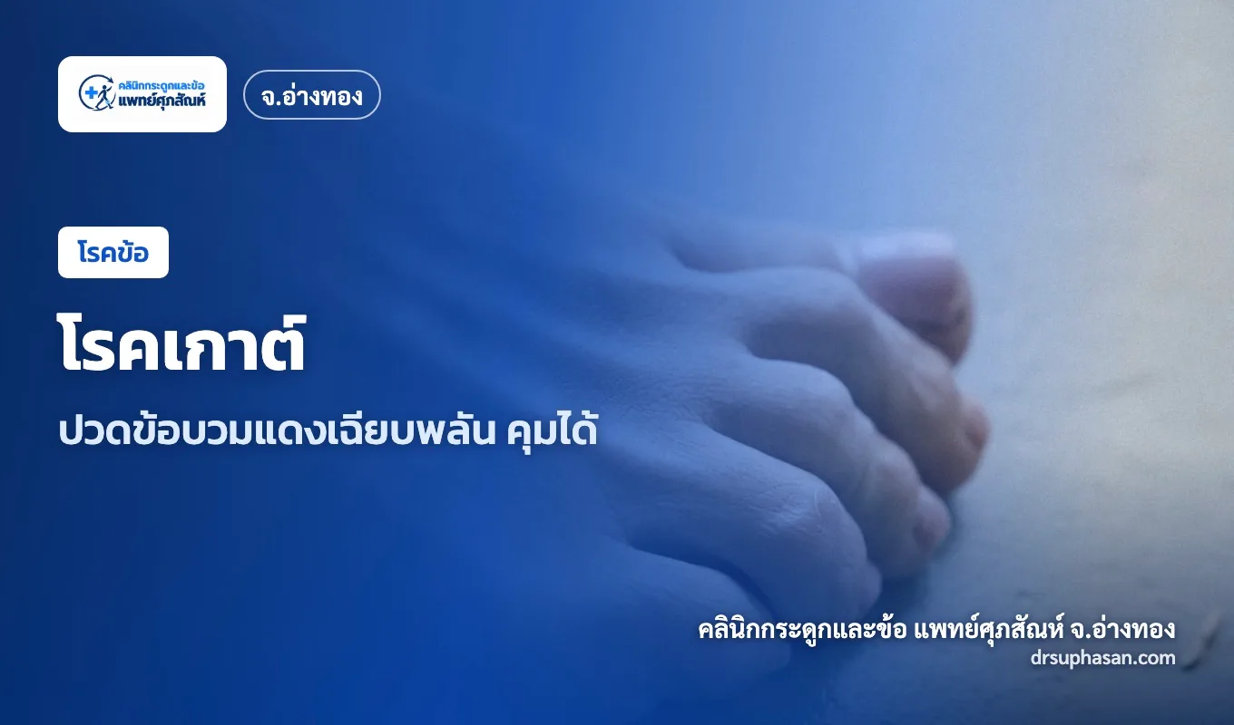 ภาพปกบทความ gout